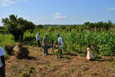 DSC_5191 (Large).JPG